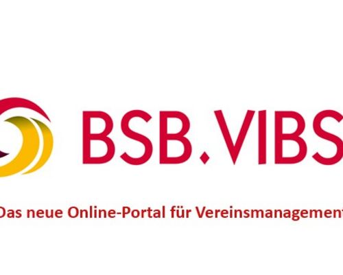 BSB.VIBSS-Logo